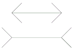 Müller-Lyer Illusion